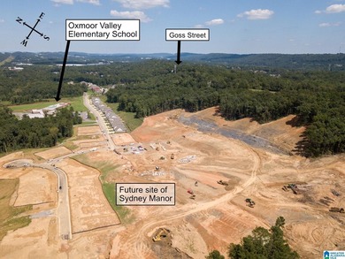 Excellent Opportunity to develop in a PRIME area of the growing - photo 15