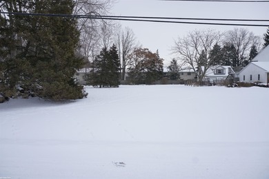 (private lake, pond, creek) Lot Active Under Contract in Harrison Michigan