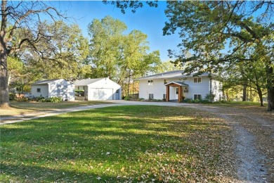 Lake Home For Sale in Clear Lake Twp, Minnesota