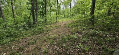 New to the market is this 12.38 tract in Washington county with - photo 11