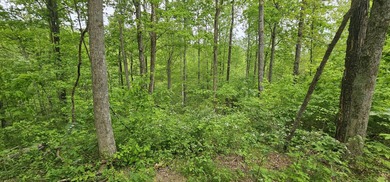 New to the market is this 12.38 tract in Washington county with - photo 12