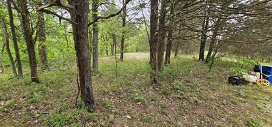 New to the market is this 12.38 tract in Washington county with - photo 14