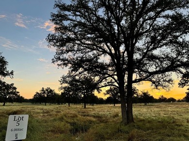 (private lake, pond, creek) Acreage For Sale in Fredericksburg Texas