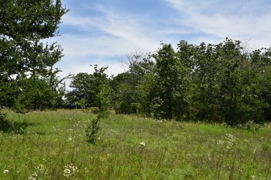 Discover the perfect blend of privacy, recreation, and future - photo 2