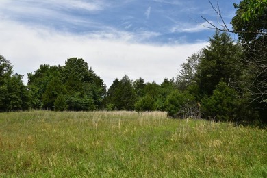 Discover the perfect blend of privacy, recreation, and future - photo 4