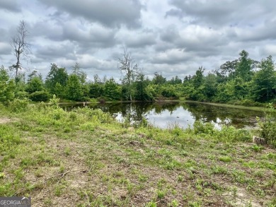 Lake Acreage For Sale in Carrollton, Georgia