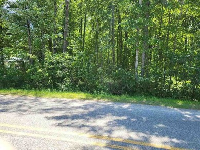 Secord Lake - Gladwin County Lot For Sale in Gladwin Michigan