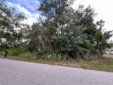 Lake June in Winter Lot For Sale in Lake Placid Florida 33852 Florida