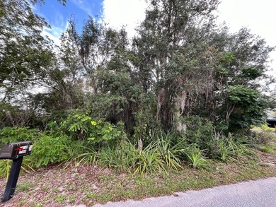 Discover the perfect setting to build your Florida dream home - photo 2
