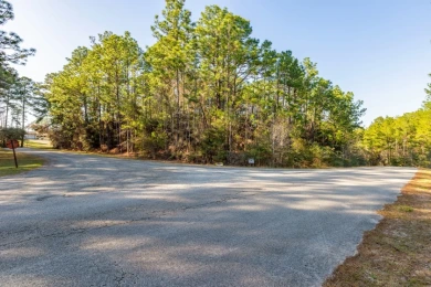 UNRESTRICTED Rayburn Country Area. 6.878 acres - photo 10