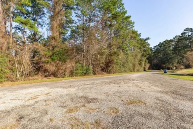UNRESTRICTED Rayburn Country Area. 6.878 acres - photo 9