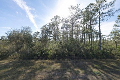 Lake Weohyakapka Lot For Sale in Indian Lake Estates Florida