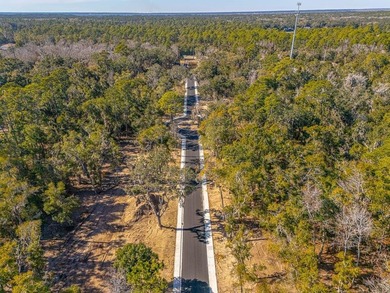 Welcome to The Canopy, a brand-new 25 lot development on - photo 24
