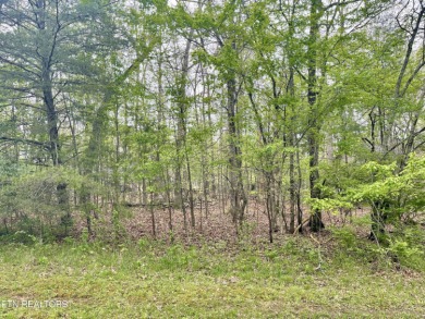 Saint George Lake Lot For Sale in Crossville Tennessee