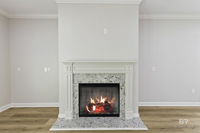 Gold Fortified new construction in TimberCreek offering 2,320 - photo 8