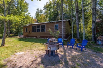 Lake Home For Sale in Vermilion Lake Twp, Minnesota