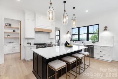 This is an absolutely stunning 6000 sq. ft. new construction - photo 15