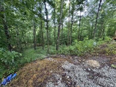 Camper-Friendly Lake Access Lot SOLD - photo 8