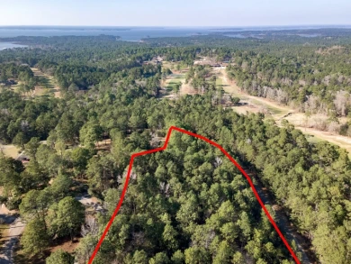 UNRESTRICTED Rayburn Country Area. 6.878 acres - photo 5