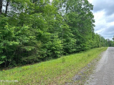 Lake Lot For Sale in Monterey, Tennessee