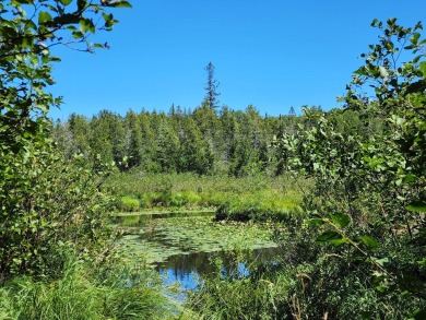Presque Isle River Acreage For Sale in Presque  Isle Wisconsin