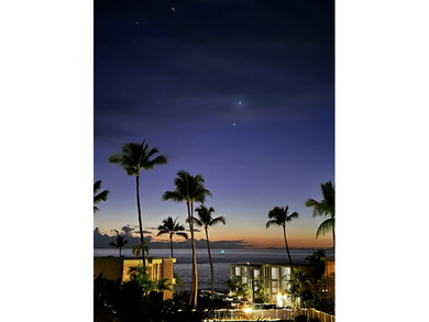 Located in the desirable Alii Villas complex on iconic Alii - photo 22