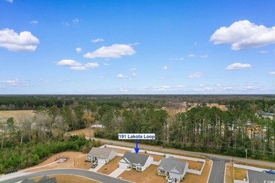 Welcome home to easy, modern living in The Villages at Longs - photo 30