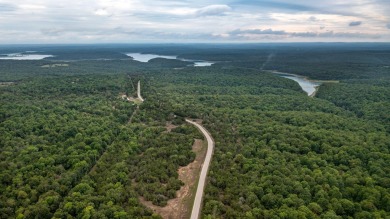 Bull Shoals Lake Acreage For Sale in Protem Missouri