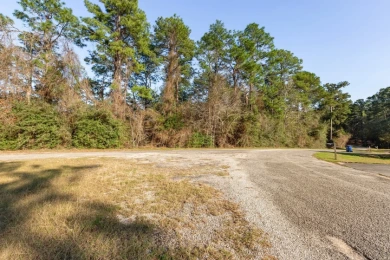 UNRESTRICTED Rayburn Country Area. 6.878 acres - photo 3