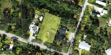 No HOAs, deed restrictions or CDDs!!! Not in a zone requiring - photo 1