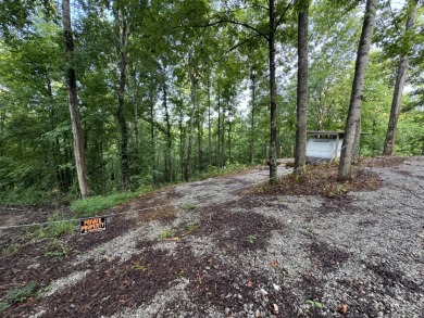 Camper-Friendly Lake Access Lot SOLD - photo 5