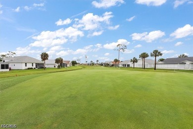 55+ Gated community. Welcome to SW Florida! Gorgeous golf course - photo 31