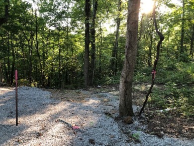 Camper-Friendly Lake Access Lot SOLD - photo 4