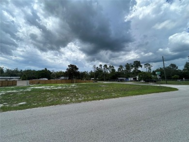 Lake Kathryn - Lake County Lot Sale Pending in Paisley Florida