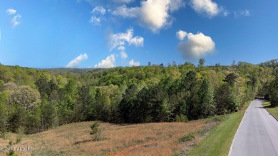 (private lake, pond, creek) Acreage For Sale in Kingston Tennessee