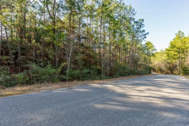 UNRESTRICTED Rayburn Country Area. 6.878 acres - photo 7