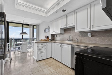 Experience elevated condo living from the 17th floor at The - photo 16