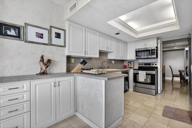 Experience elevated condo living from the 17th floor at The - photo 19