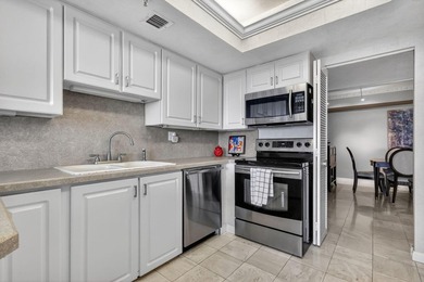Experience elevated condo living from the 17th floor at The - photo 20