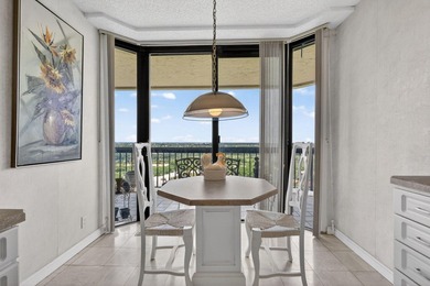Experience elevated condo living from the 17th floor at The - photo 22