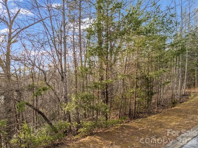 This parcel is a true gem! If you are interested in waterfront - photo 33