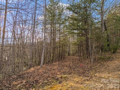 This parcel is a true gem! If you are interested in waterfront - photo 34