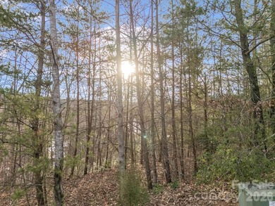 This parcel is a true gem! If you are interested in waterfront - photo 35