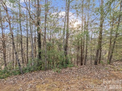 This parcel is a true gem! If you are interested in waterfront - photo 36
