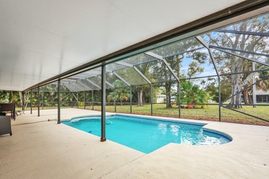 Opportunities to own a pool home on a HALF-ACRE lot in Port St - photo 36