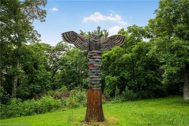 Step into a piece of Arkansas history on 69.13+/- acres atop - photo 39