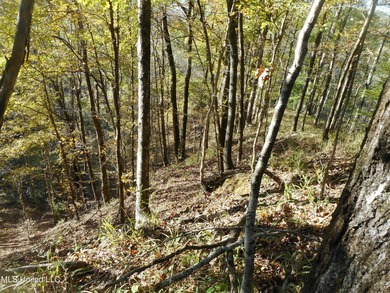 (private lake, pond, creek) Acreage For Sale in Satartia Mississippi