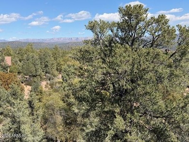 TERRIFIC MOGOLLON RIM, MONUMENT PEAK, & STEWART MOUNTAIN - photo 4