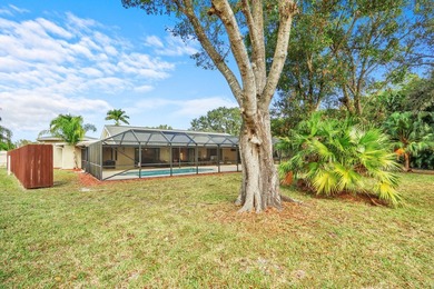 Opportunities to own a pool home on a HALF-ACRE lot in Port St - photo 47