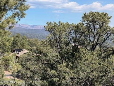 TERRIFIC MOGOLLON RIM, MONUMENT PEAK, & STEWART MOUNTAIN - photo 9